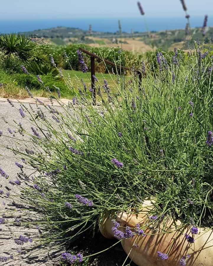 Villa Polercia Cupello Εξωτερικό φωτογραφία
